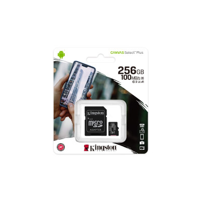 Флеш память MicroSDXC 256GB Kingston + SD Canvas Select Plus (Class 10) (SDCS2/256GB)