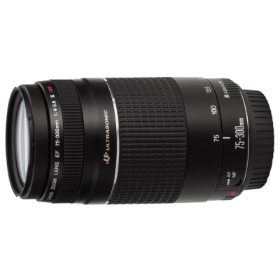 Объектив Canon EF 75-300mm f/4-5.6 III USM