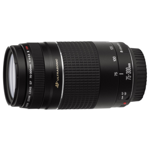 Объектив Canon EF 75-300mm f/4-5.6 III USM