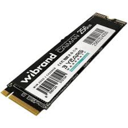 Накопичувач M.2 SSD 256GB Wibrand Caiman 3D NAND (WIM.2SSD/CA256GB)
