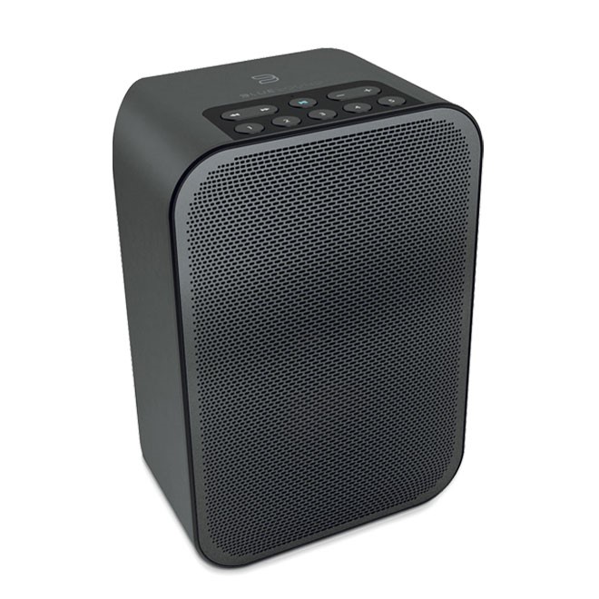 Колонка Bluetooth Bluesound Pulse flex 2i, Black